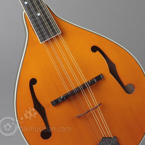 Left Handed Kentucky Mandolin