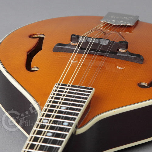 Left Handed Kentucky Mandolin