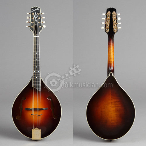 Kentucky Mandolin KM-550 CA Bridge