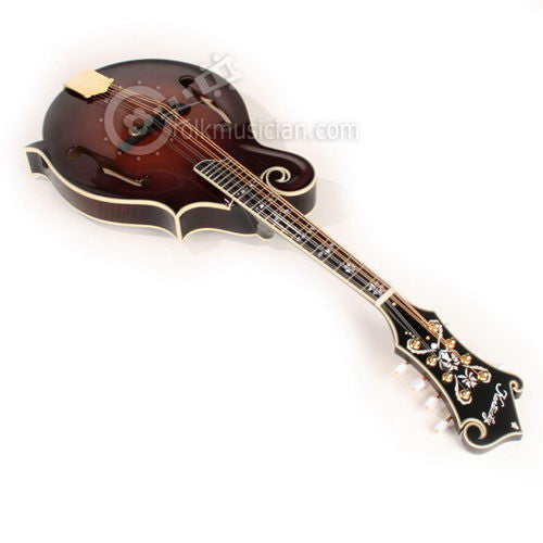 Kentucky Bella Voce Mandolin