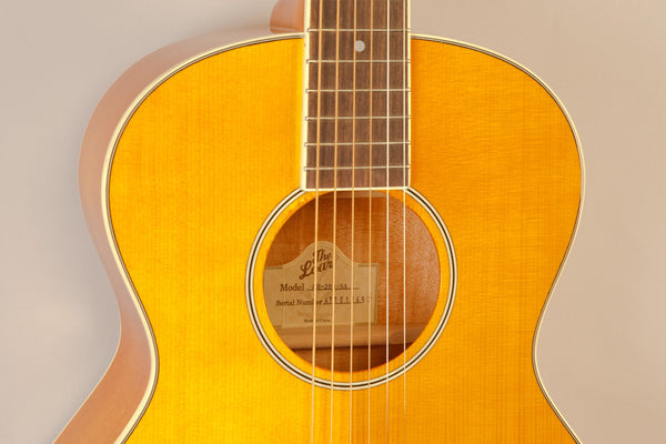 The Loar LH-200 Guitar