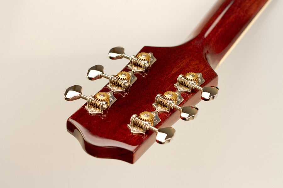 The Loar LH-300 Guitar