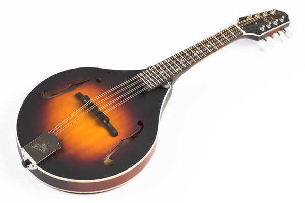 The Loar LM-175 Mandolin