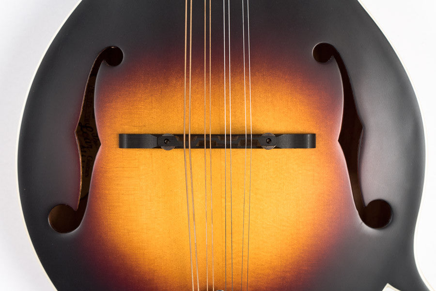 The Loar LM-370 Mandolin