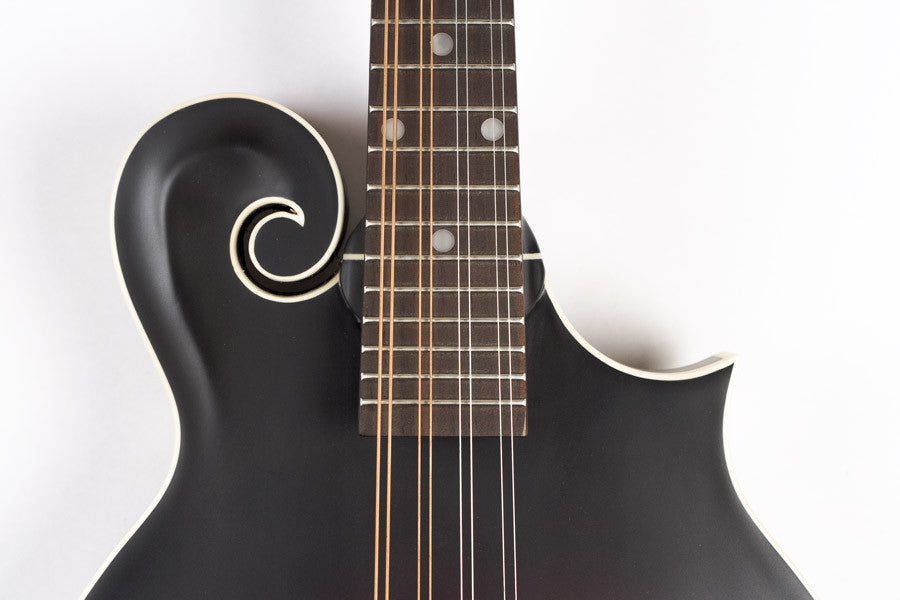 The Loar LM-370 Mandolin