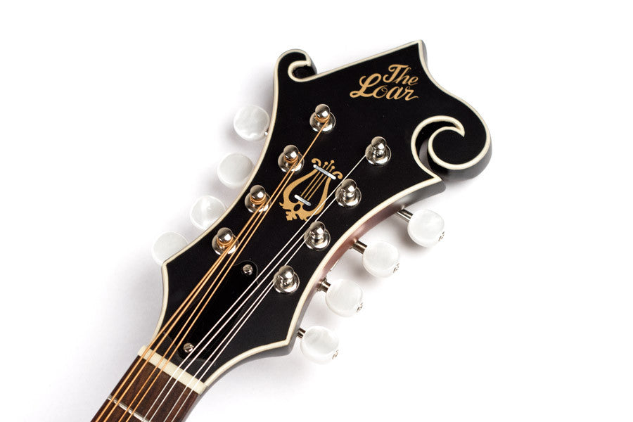 The Loar LM-375 Mandolin