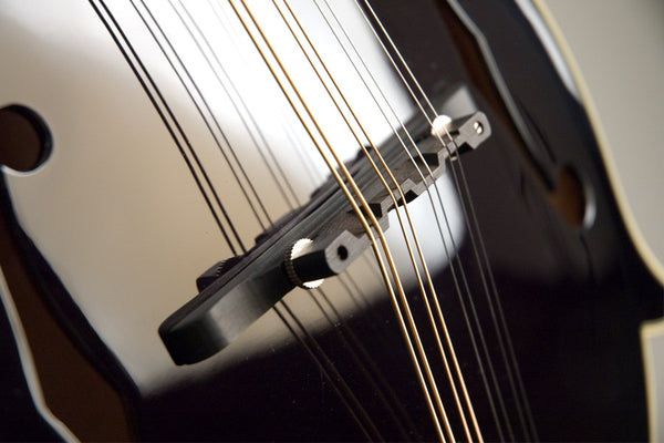 The Loar LM-600 Mandolin Black