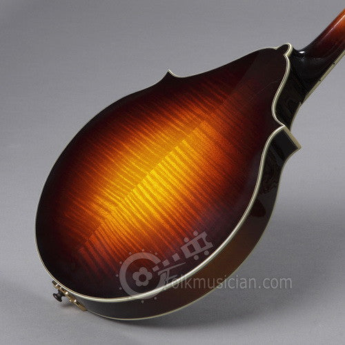 Eastman Mandolin 805 2 Point Sunburst