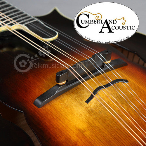 Eastman Mandolin Varnish CA Bridge