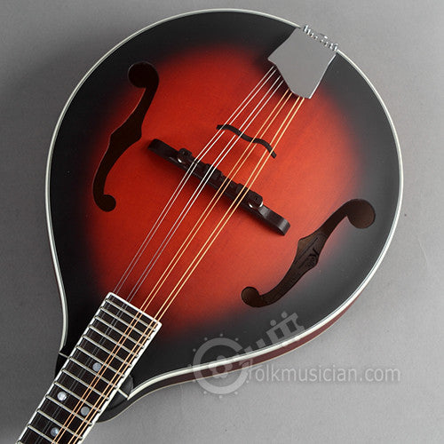 Michael Kelly A Solid Mandolin Satin