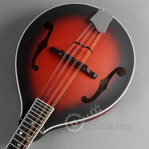 Michael Kelly A Solid Mandolin Satin