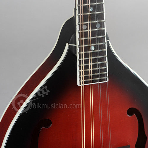 Michael Kelly A Solid Mandolin Satin