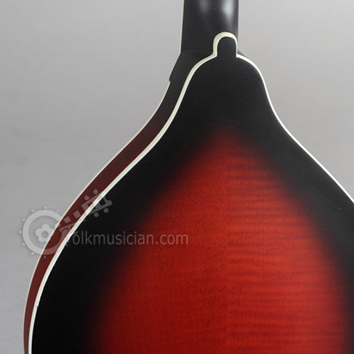 Michael Kelly A Solid Mandolin Satin
