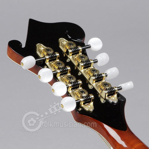 Michael Kelly Dragonfly Left Handed Mandolin