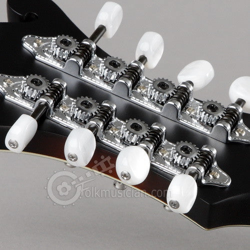 Michael Kelly Festival Pack F-Model Mandolin