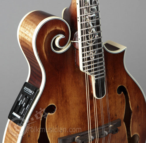 Michael Kelly Legacy Dragonfly Electric Mandolin AVS