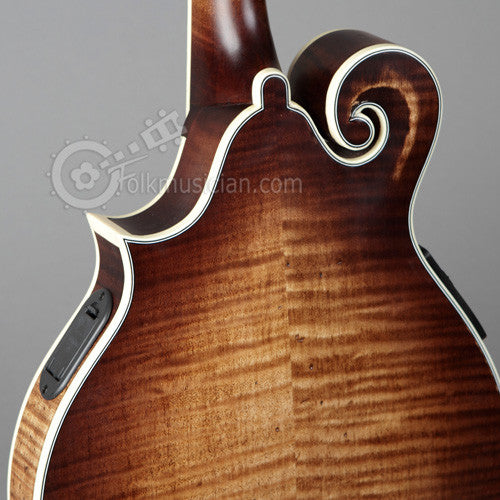 Michael Kelly Legacy Dragonfly Electric Mandolin AVS
