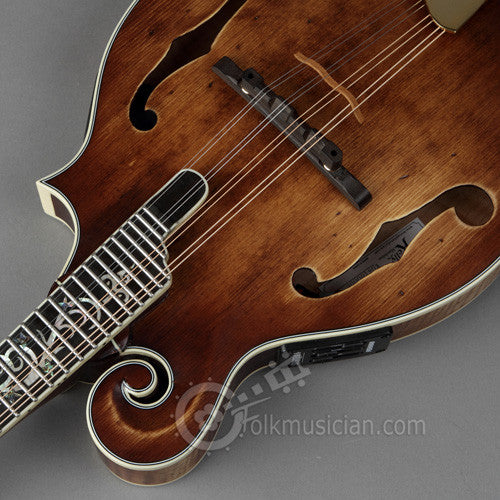 Michael Kelly Legacy Dragonfly Electric Mandolin AVS