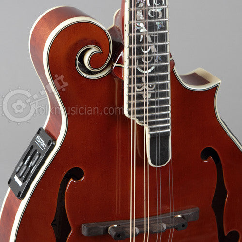 Michael Kelly Dragonfly Electric Mandolin