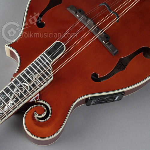 Michael Kelly Dragonfly Electric Mandolin
