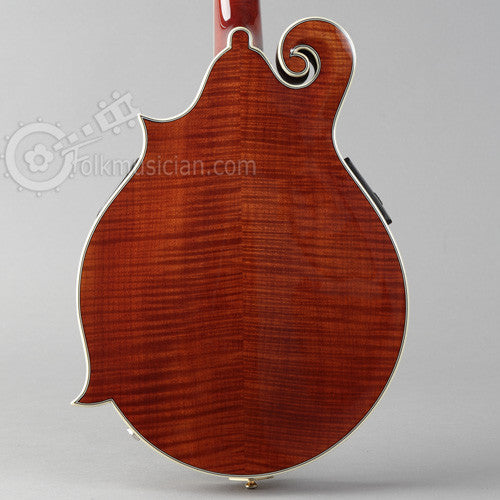 Michael Kelly Dragonfly Electric Mandolin