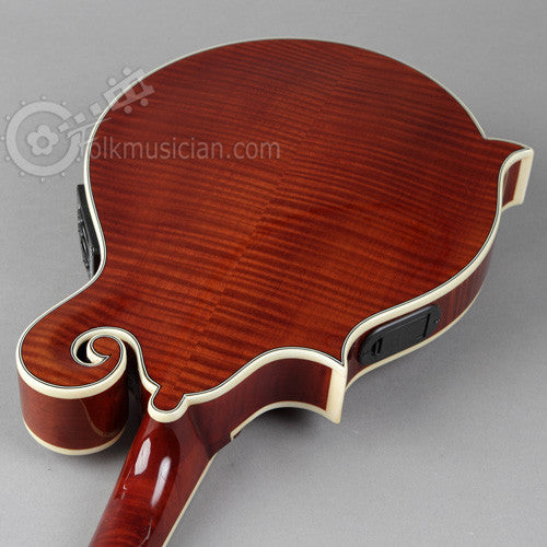 Michael Kelly Dragonfly Electric Mandolin