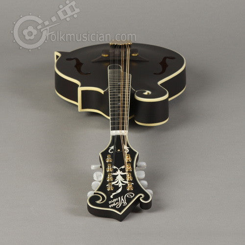 Morgan Monroe Radius Series Mandolin