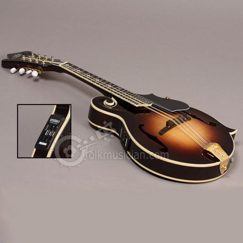 Morgan Monroe Acoustic Electric Mandolin
