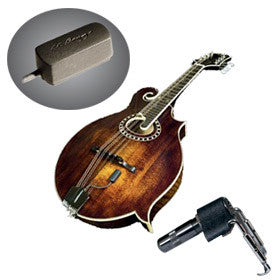 LR BAGGS Radius Mandolin Pickup