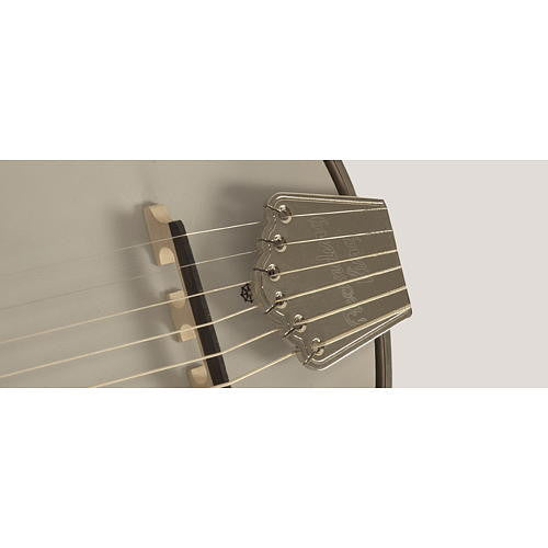 Recording King 6 String Banjo Guitar RM-G25