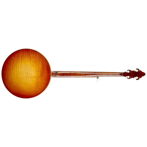 Recording king cheap m5 banjo
