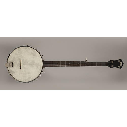 Recording King Old Time Open Back Banjo