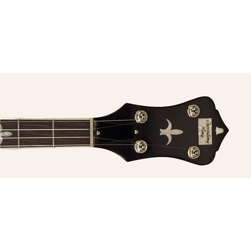 The Madison RK-R36 Resonator Banjo