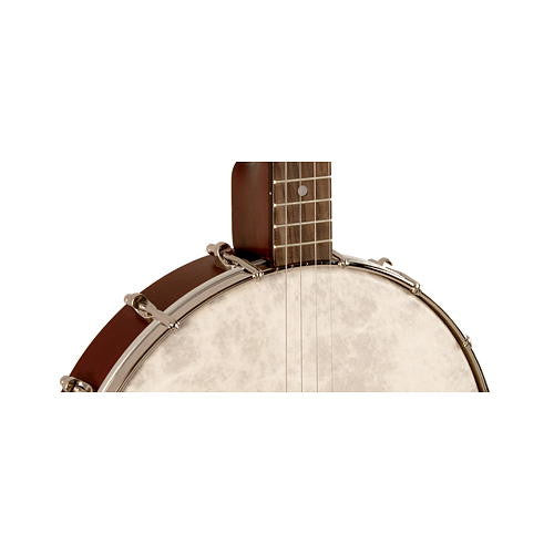 Recording King Tenor Banjo Dirty 302