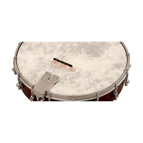 Recording King Tenor Banjo Dirty 302