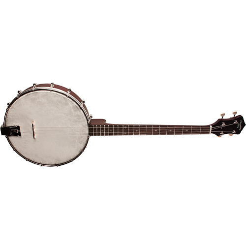 Recording King Tenor Banjo Dirty 302