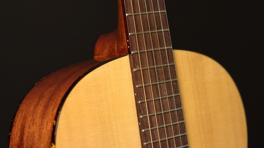 Recording King 12 fret guitar