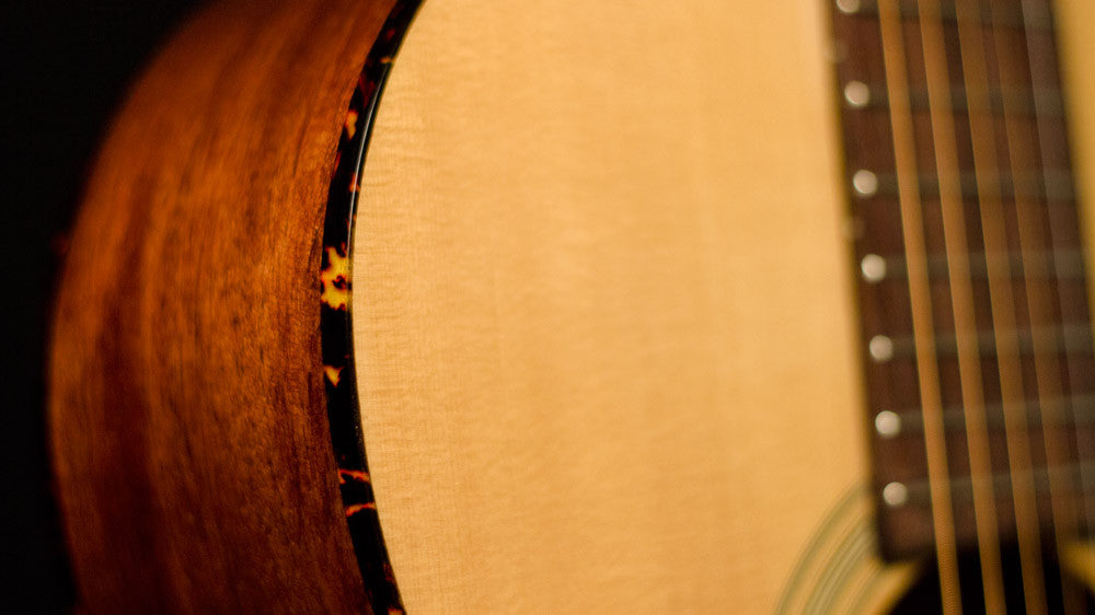 Recording King 12 fret guitar