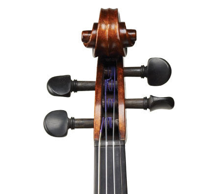 Ivan Dunov Violin VL401