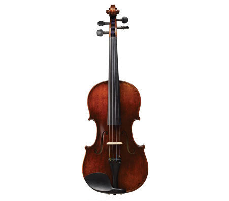 Ivan Dunov Violin VL401