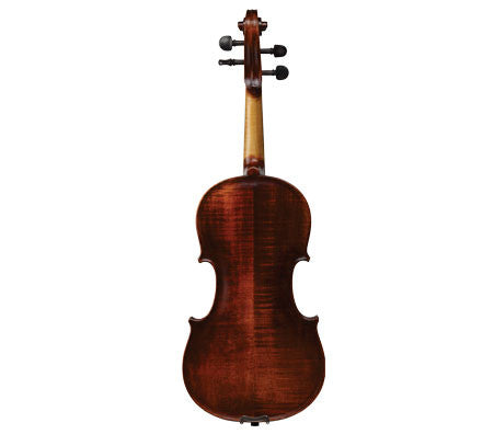 Ivan Dunov Violin VL401