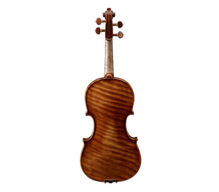 Raul Emiliani Violin Stradivarius